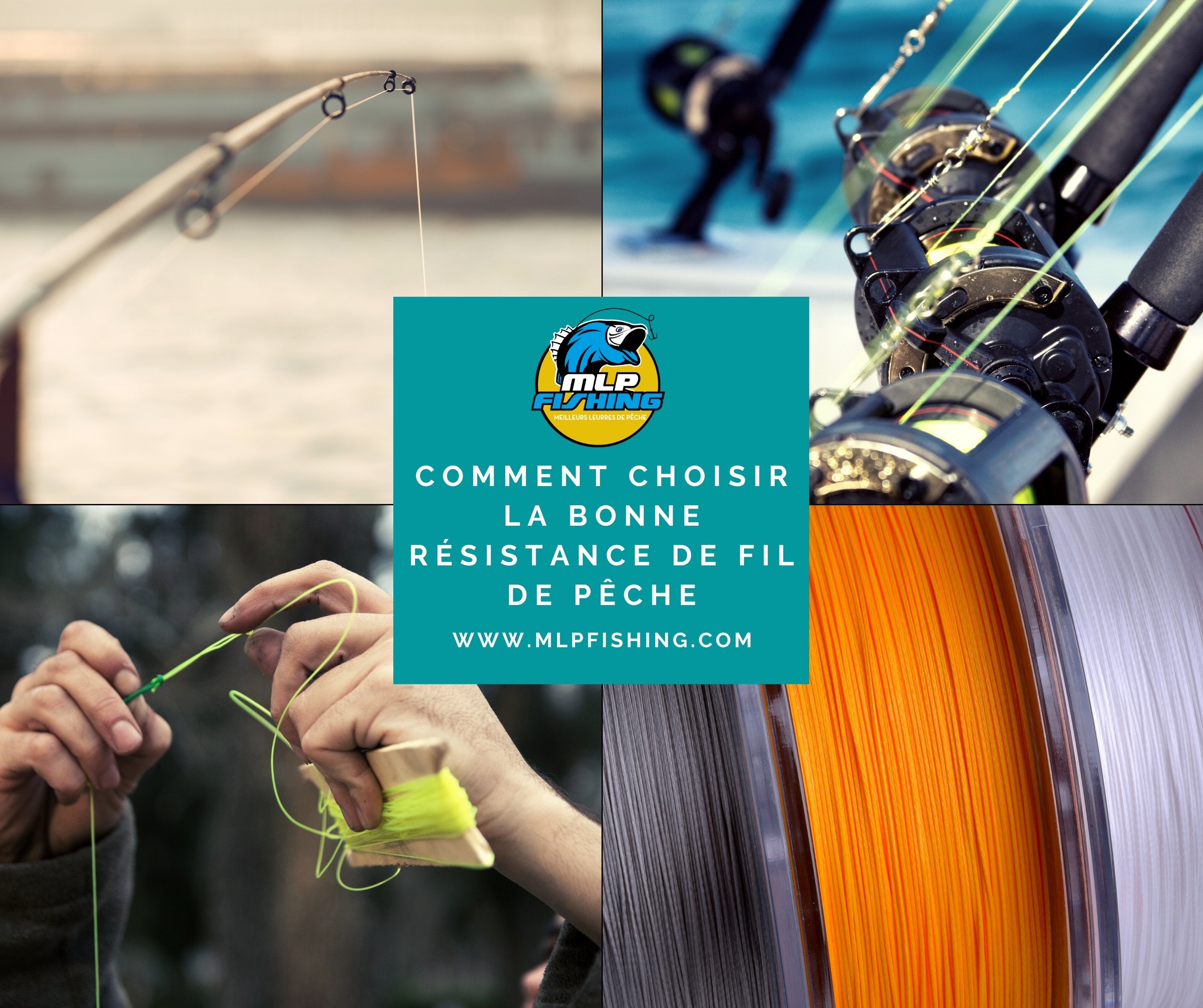 Comment choisir la bonne résistance de ligne (fil) de pêche ? – MLP Fishing
