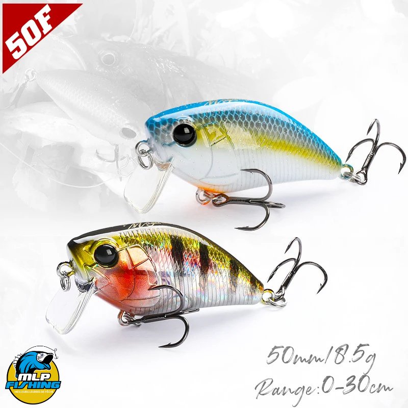 Leurre de Pêche Crankbait à Bavette Carré