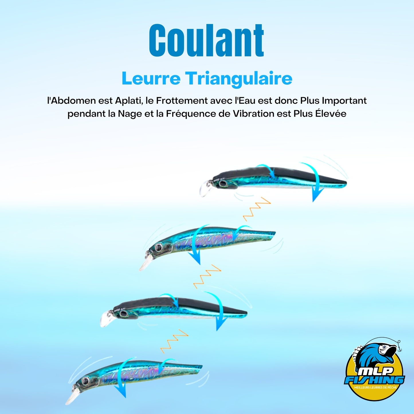 Leurre de Pêche Coulant (Jerckbait)