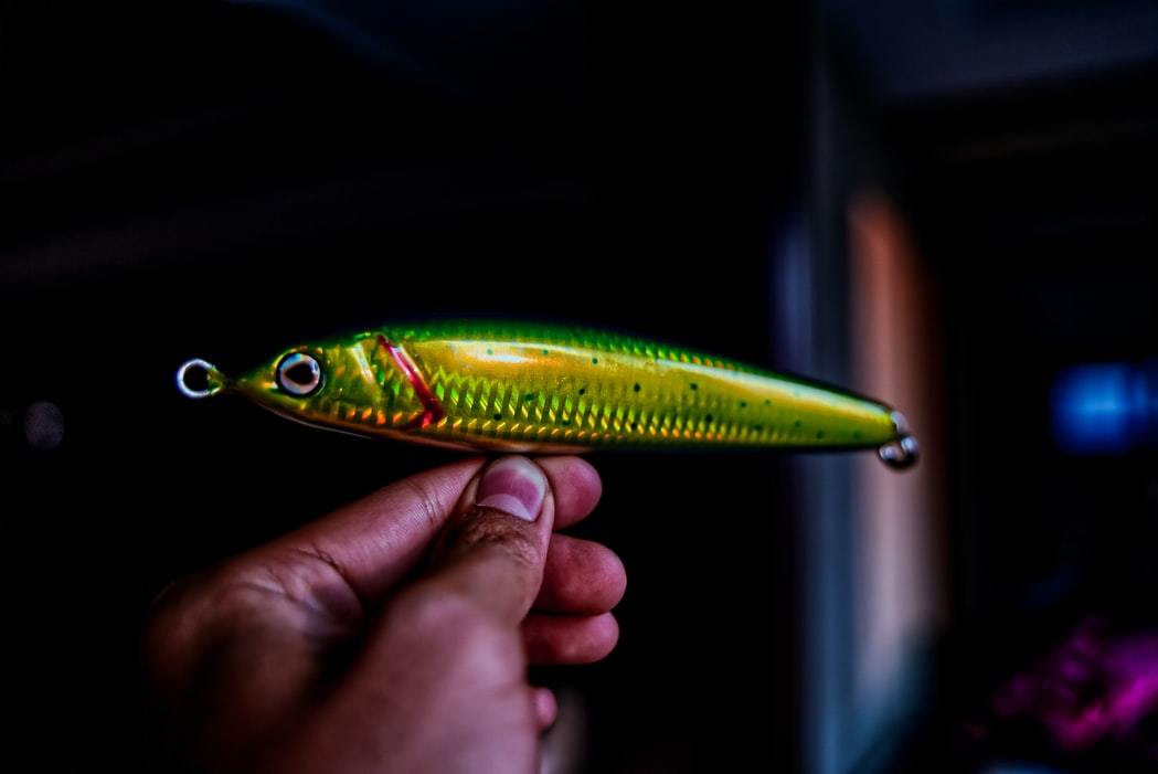 Leurre de Surface StickBait