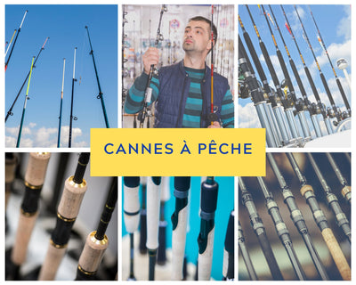 Cannes à pêche